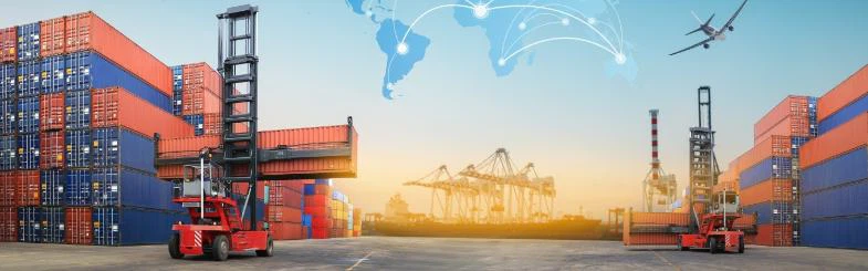 plus cargo global forwarder plus cargo global forwarder